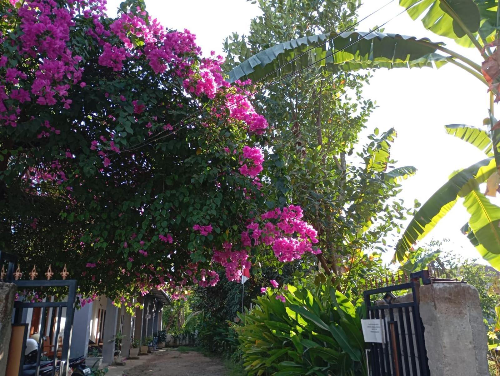 Wl Guesthouse Labuan Bajo Exterior foto