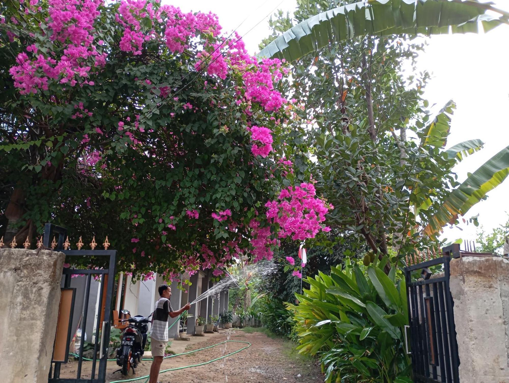 Wl Guesthouse Labuan Bajo Exterior foto