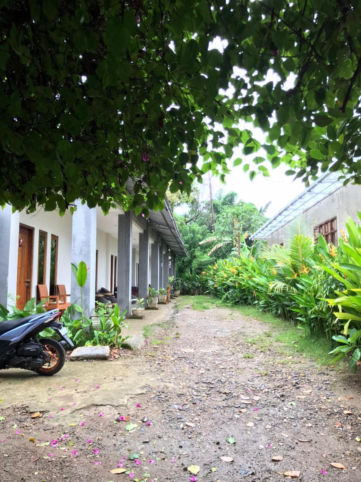Wl Guesthouse Labuan Bajo Exterior foto