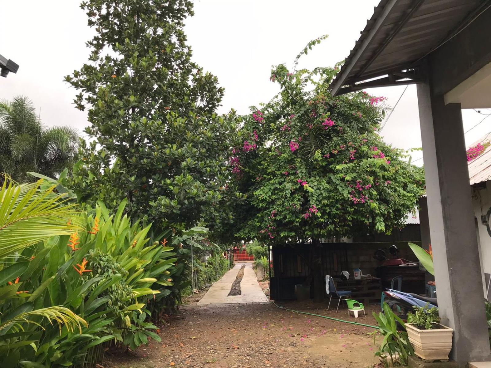 Wl Guesthouse Labuan Bajo Exterior foto